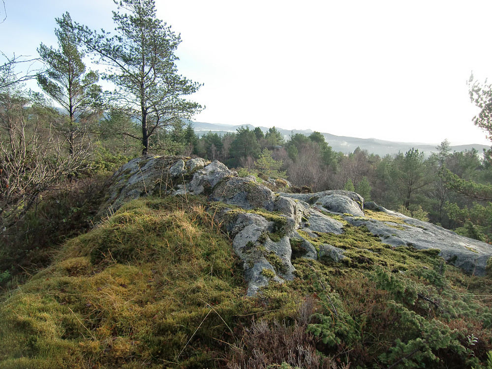 Toppen på Hjartåsfjellet