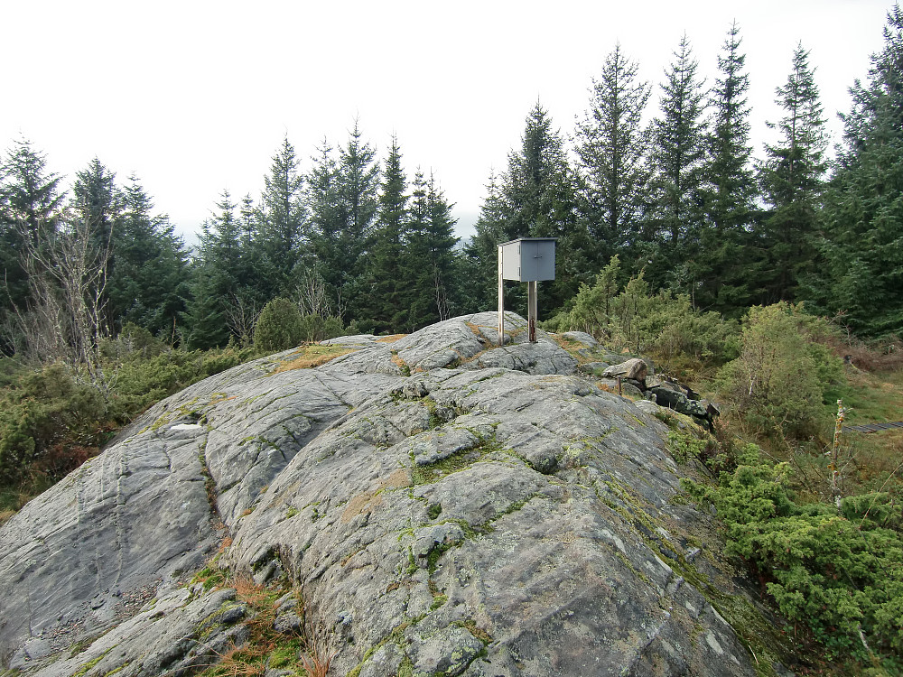 Toppen på Lyngfjellet, dårlig med utsikt.