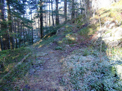 Her slutter restene av skogsveien, tok sti opp til høyre.