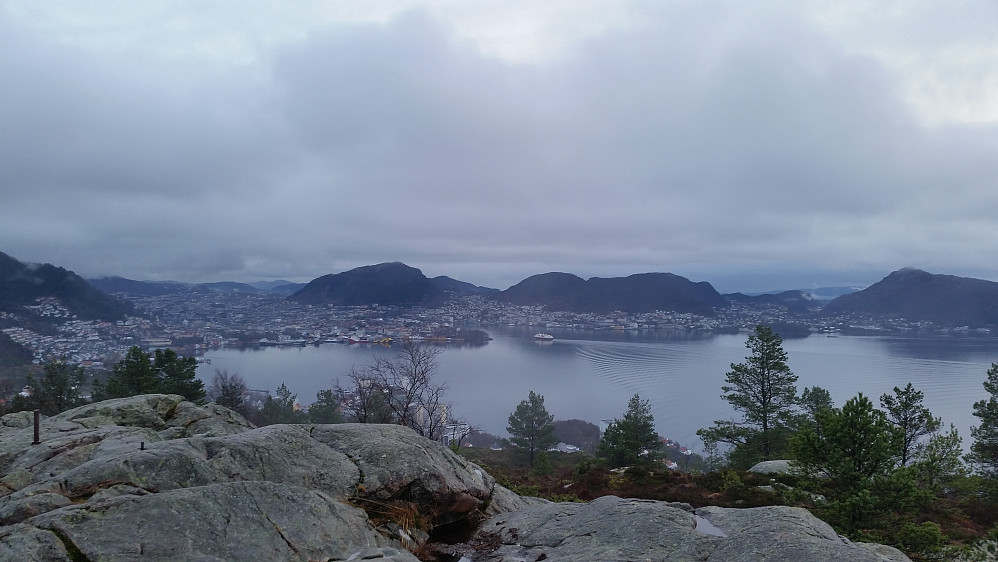 Bergen fra Ørneberget. 