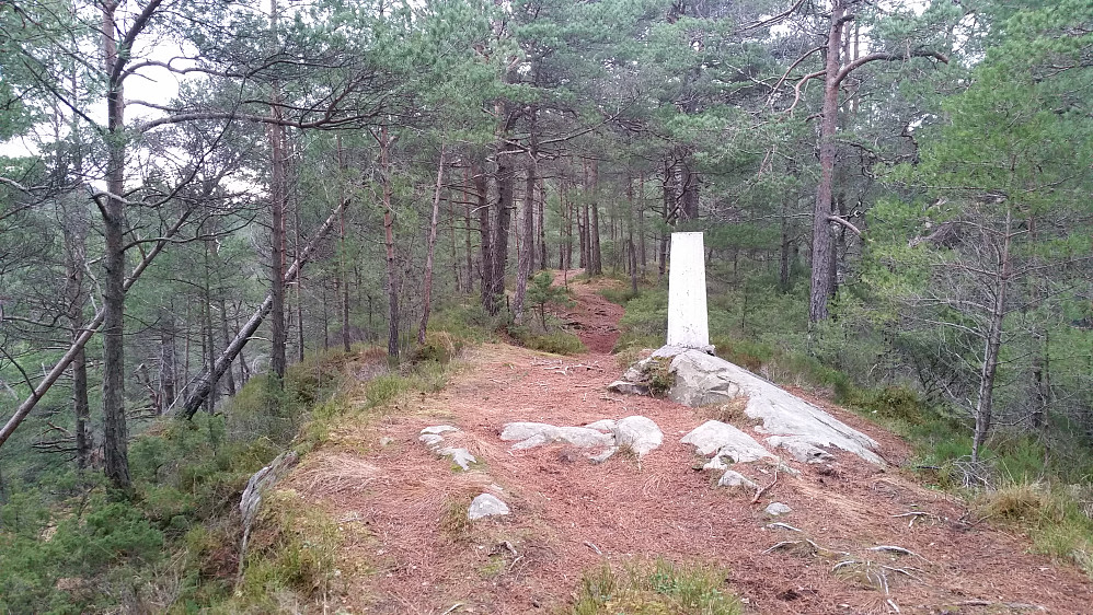 På toppen er det en "Bergensvarde" trig.punkt. 