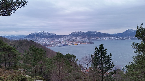Bergen med Løvstakken, Damsgårdsfjellet og Lyderhorn fra Håmanen