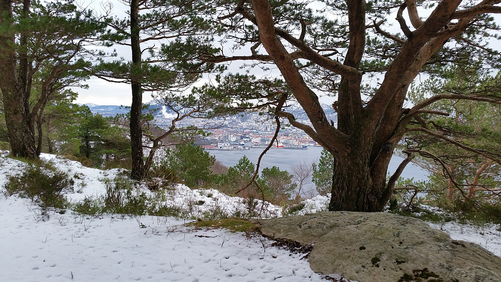 Fra Håmanen mot Bergen sentrum