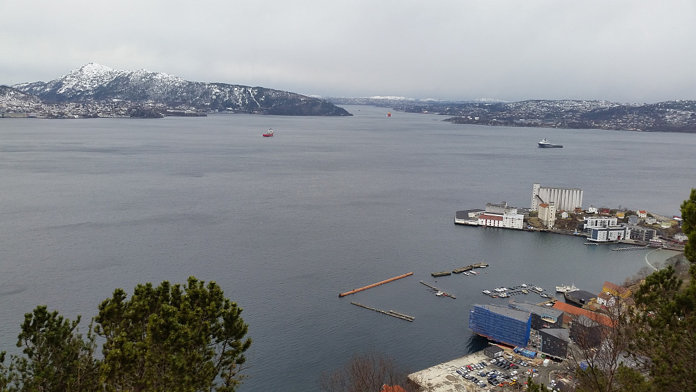 Byfjorden med Hegreneset i Bergen fra Sandviksbatteriet.