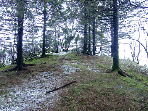 Eikhøyen