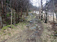 Kjell51_20180216_5a86e72f358b7.jpg