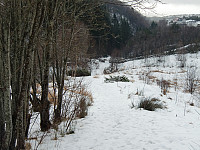 Kjell51_20180216_5a86e76ff251b.jpg