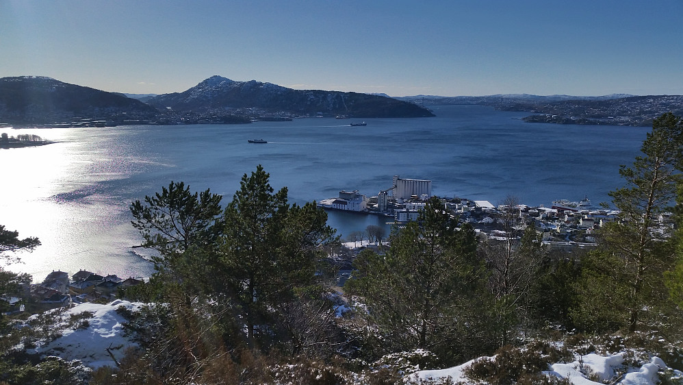 Byfjorden med Lyderhorn fra Håmanen