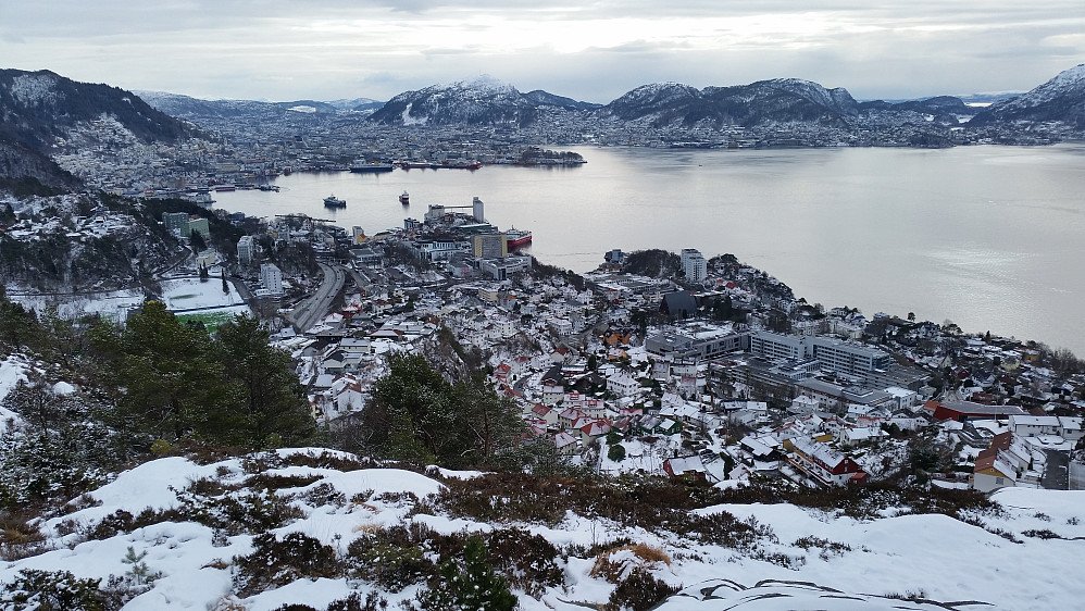 Sandviken fra Ørneberget