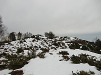 Kjell51_20180311_5aa59784541ce.jpg