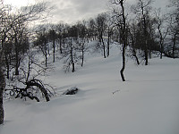 Kjell51_20180314_5aa96bd15127f.jpg