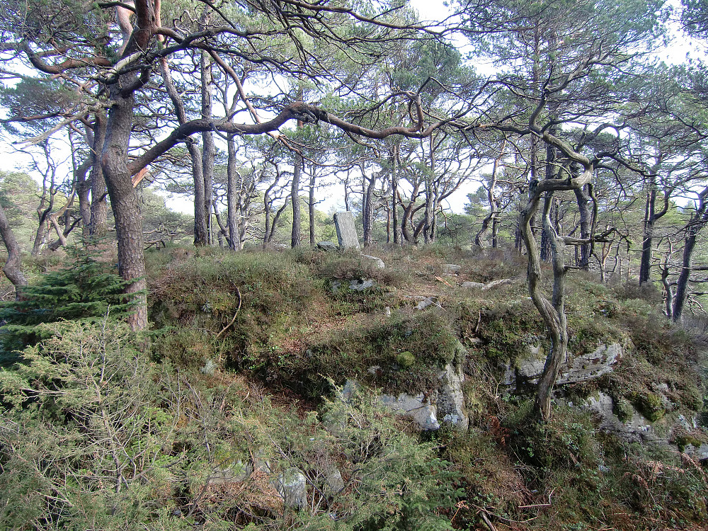 Toppunktet på Silkesåta som er markert med en stor stein på høykant. 