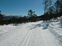Kjell51_20180402_5ac241132c7b0.jpg