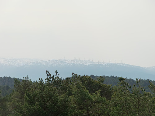 Utsikt mot vindmøllene på Fitjar