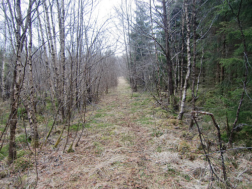 Start på traktorveien
