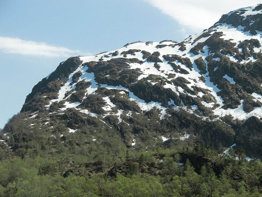 Bilde fra Botnen mot Middagshaugen der sommer ruten går. Stien går opp snørennen helt til venstre. Er de siste år blitt populær også om vinteren for Randonnée brukere. 