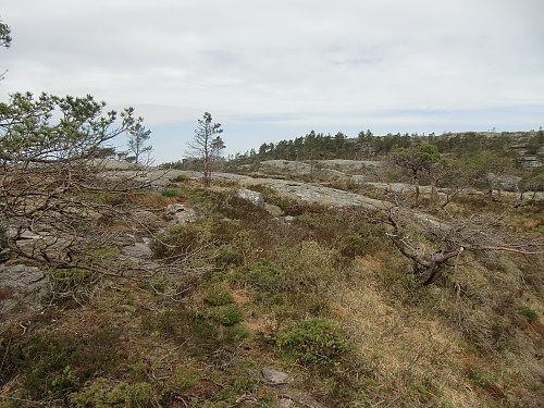 På vei ut til Preikestolen