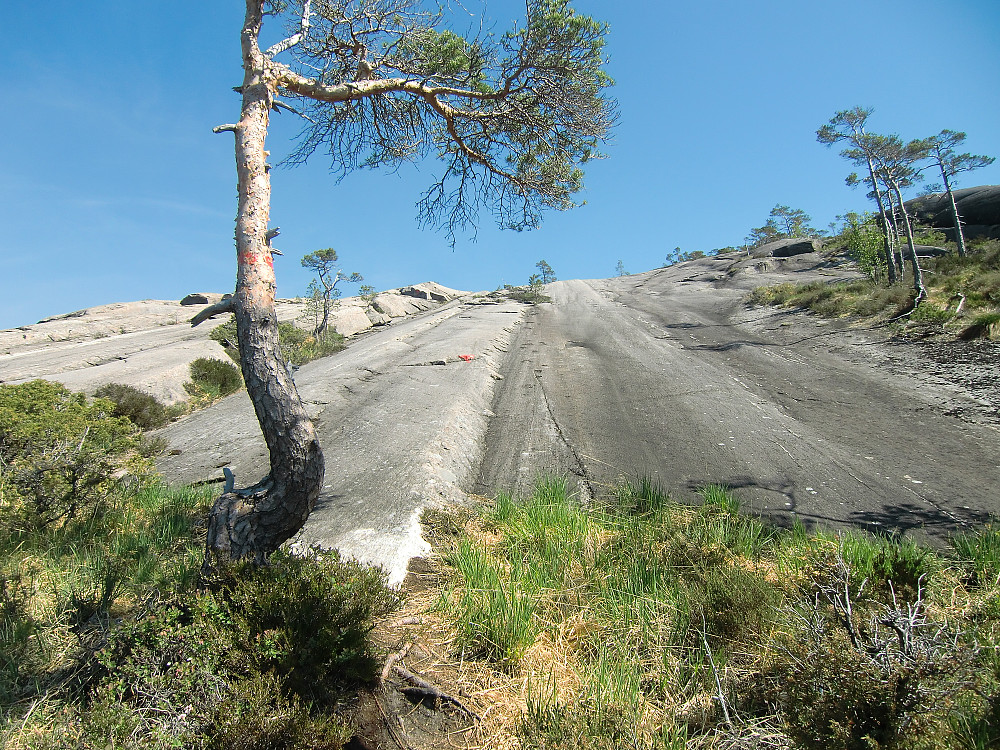 Spesielt fjell, ypperlig for motbakkeløpere.