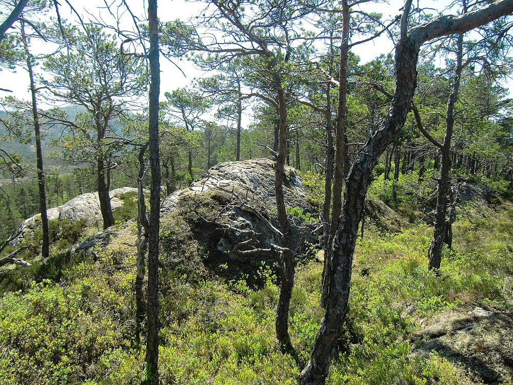 Toppunkter på Skorpa 
