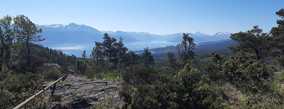 Toppen på Geitaknottane der det er rester etter trig.punkt. Litt begrenset utsikt grunnet skog, men helt topp der det var fri sikt. 