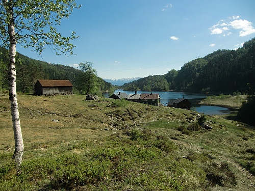 Stølene på Lauvvikane