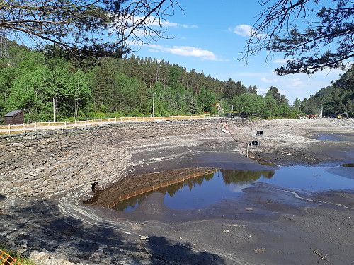 Munkebotsvatnet er nå tørrlagt, hvor er alle fiskene som vaket da vannet nesten var tomt?