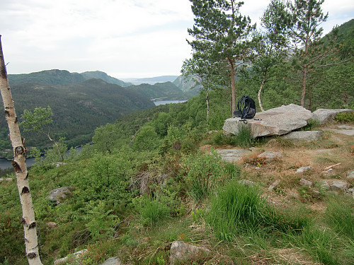 Utsiktspunk og pauseplass ved skogsveien