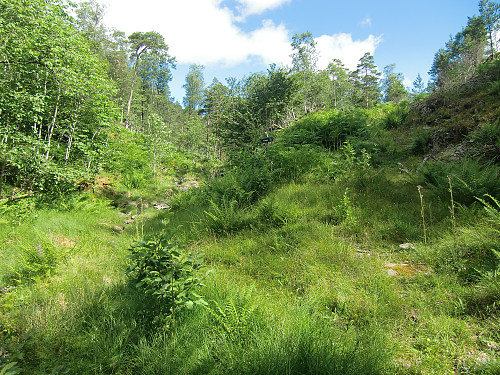 Tur-skilt midt i bildet peker mot søkket til venstre. Stien forsvant, høyt gress ingen trakk. 