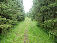 Kjell51_20180802_5b6343fbbb26c.jpg