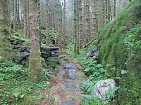 Kjell51_20180802_5b63446d2f7b2.jpg