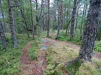 Kjell51_20180802_5b63473585406.jpg
