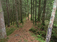 Kjell51_20180802_5b63477ebf441.jpg