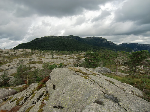 Fra punkt 329 mot Husdalsfjellet