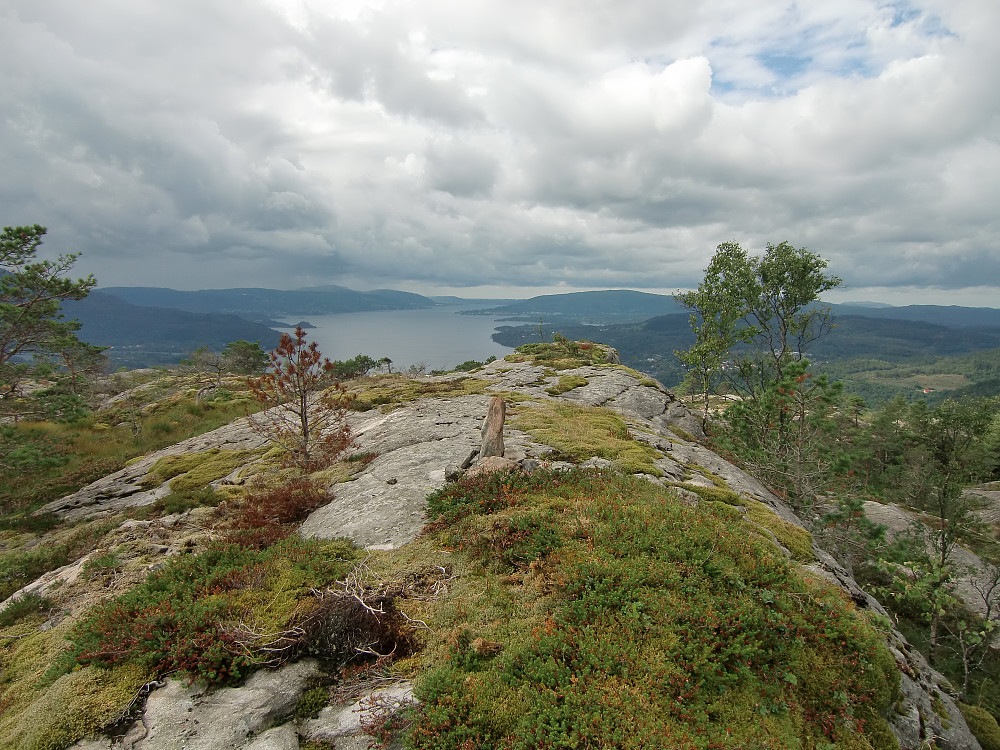 Muskollen 337 med utsikt mot sydvest med Osterfjorden