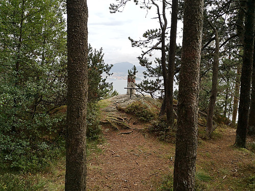 Trig. punkt på Furekammen
