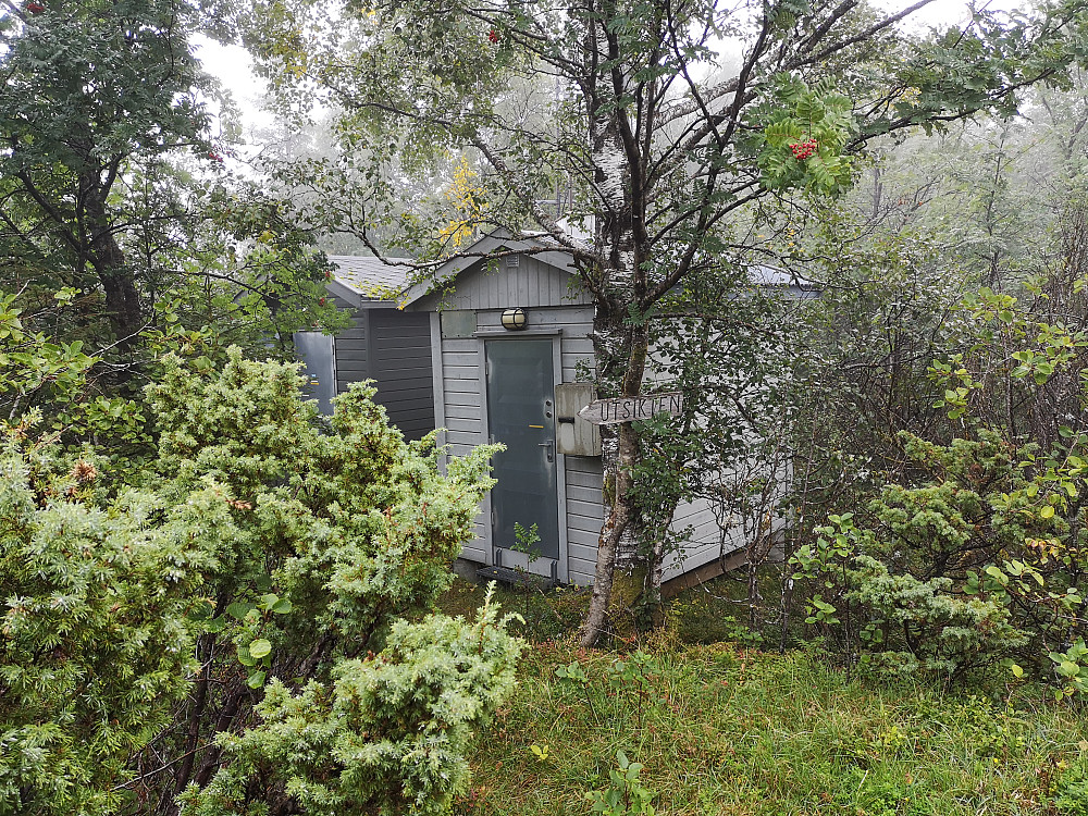 Telemast med hus på toppen. Tett skog