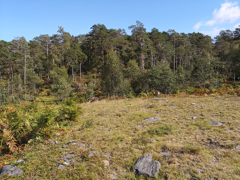 Her sluttet skogsveien, toppen inne i skogen. 