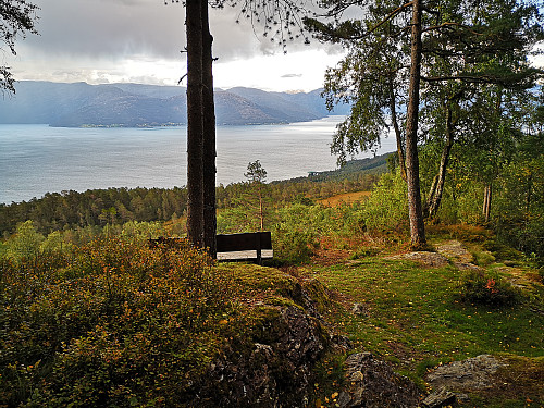 Fin tilrettelagt sti ned gjennom skogen. Utsikt mot Kysnesstranda i Jondal