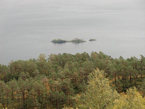 Svanholm