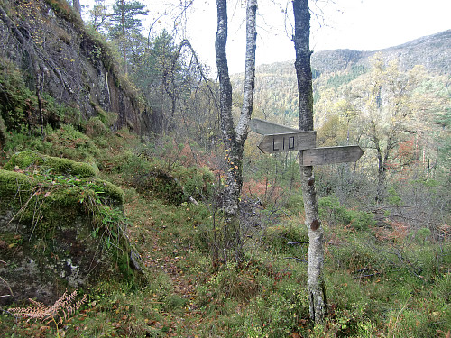 Av fra hovedstien mot toppen på Storåsen