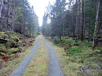 Kjell51_20181018_5bc86b5d97f77.jpg