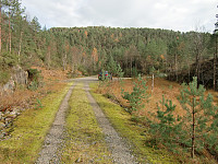 Kjell51_20181018_5bc86b8432655.jpg