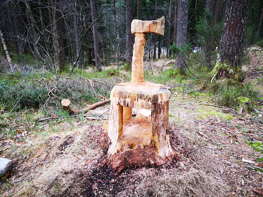 En kreativ og ny variant av ved-stubbe 