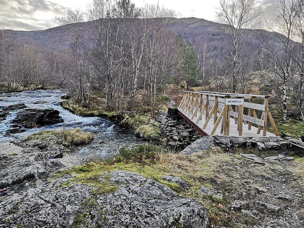 Over Nesbrua 