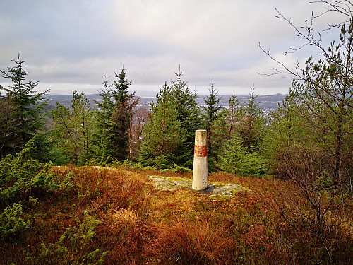 Trigonometrisk punkt B34T0517 - 264.10 på Birkelandsfjellet