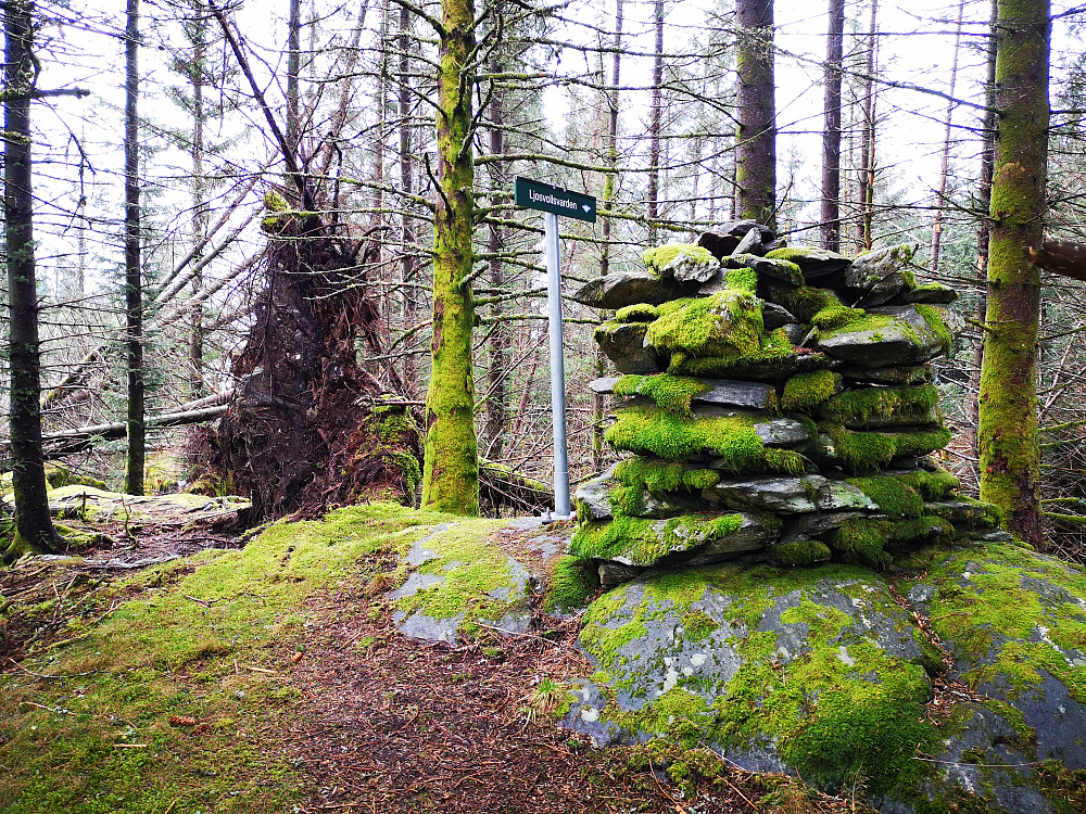 Ljosvollsvarden 