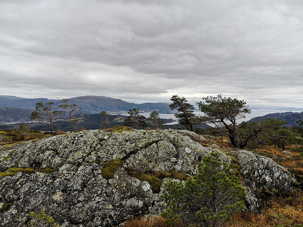 Toppen på Strandafjellet 387 m. 