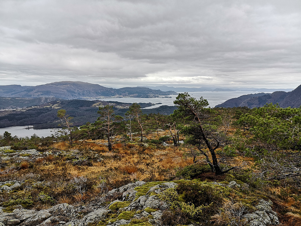 Utsikt fra toppen mot syd med Fusafjorden.