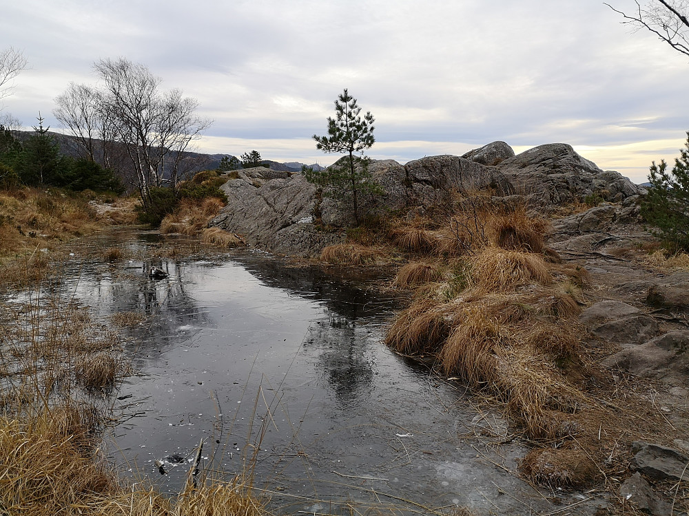 Ørneberget med med dammen bak toppen