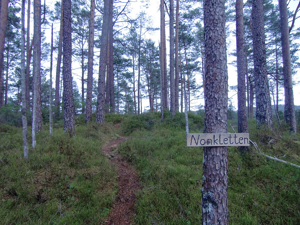 Første kollen vi passerte heter Nonkletten. Bratt ned på nordsiden, tau utlagt.